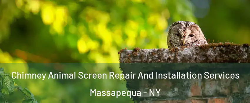  Chimney Animal Screen Repair And Installation Services Massapequa - NY