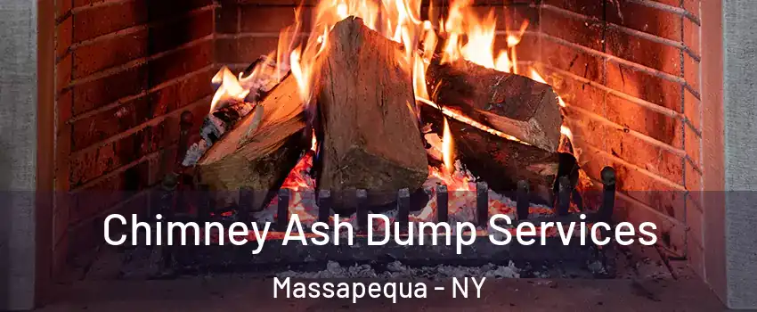  Chimney Ash Dump Services Massapequa - NY