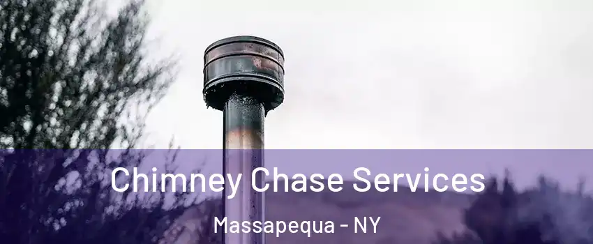  Chimney Chase Services Massapequa - NY