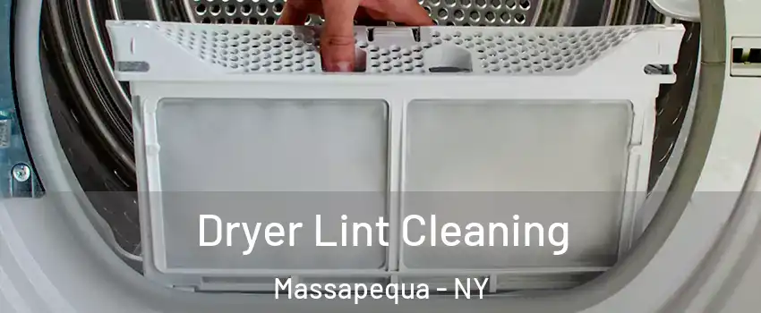  Dryer Lint Cleaning Massapequa - NY