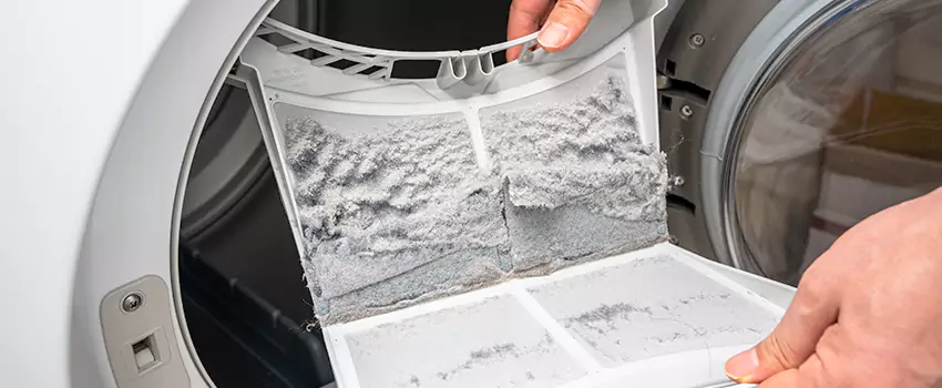 Best Dryer Lint Removal Company in Massapequa, New York