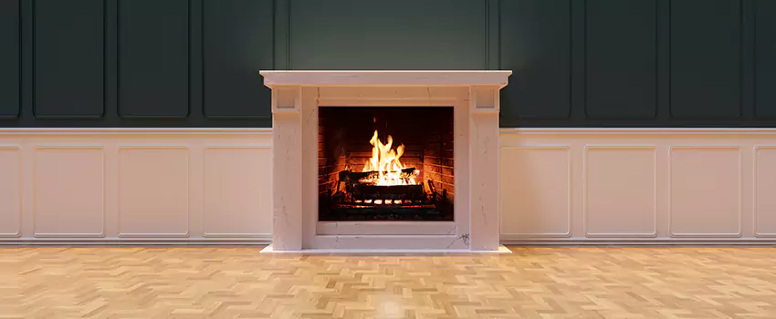 Napoleon Electric Fireplaces Inspection Service in Massapequa, New York