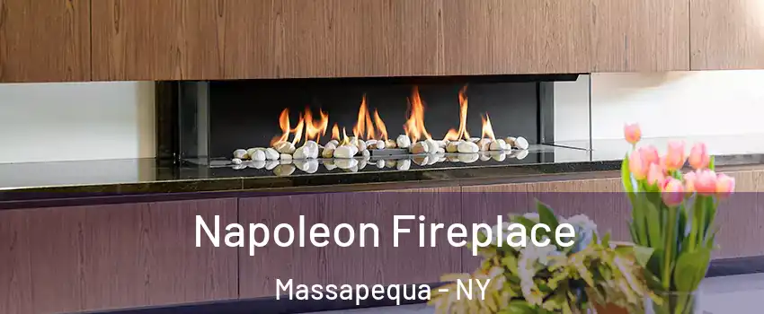  Napoleon Fireplace Massapequa - NY